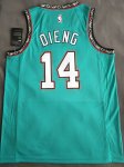 NBA 14 Dieng Grizzlies Maillot Retro green imprimé